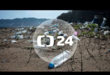 Příroda znečištěná plasty